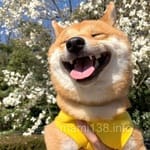 Avatar de Fátima Camacho